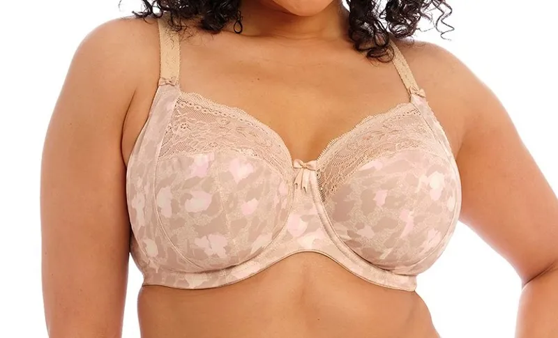 Elomi Morgan Full Cup Bra in Toasted Almond-2